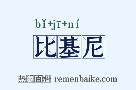 比基尼是什么意思的图片